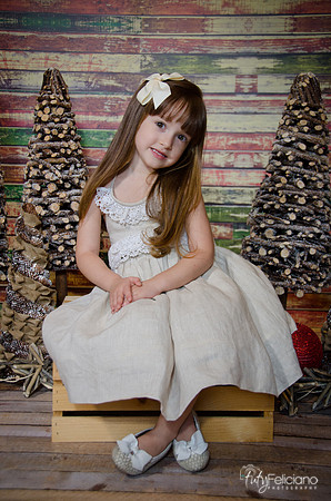 Navidad2014-12487
