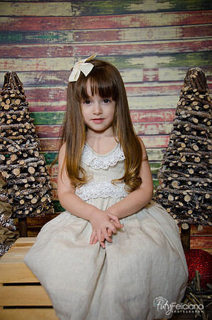 Navidad2014-12439