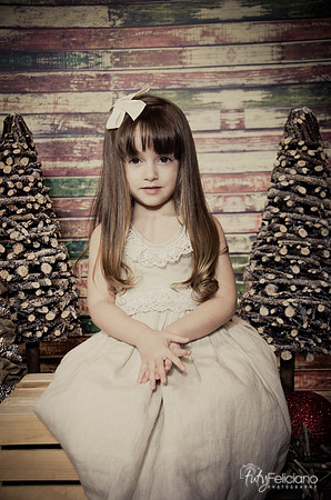 Navidad2014-12438