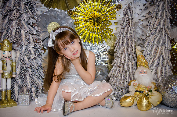 Navidad2014-12599