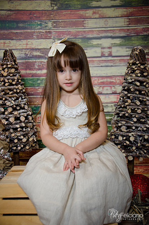 Navidad2014-12440