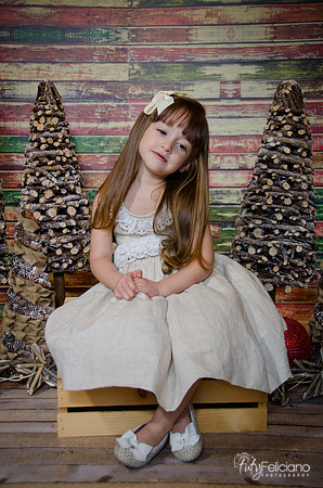 Navidad2014-12493
