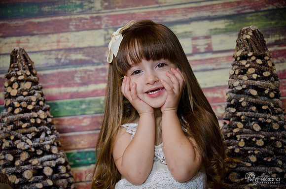 Navidad2014-12510