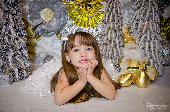 Navidad2014-12610