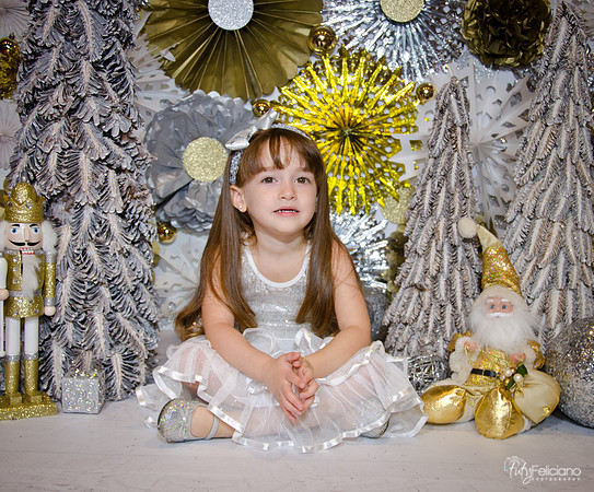 Navidad2014-12552
