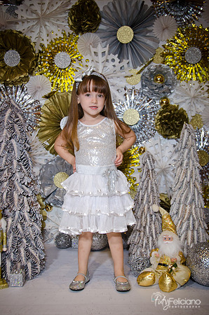 Navidad2014-12546