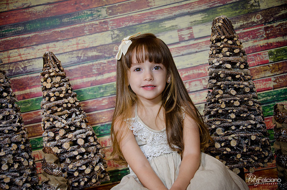 Navidad2014-12541