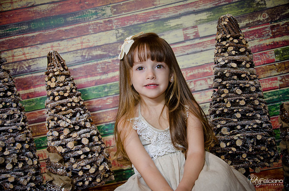Navidad2014-12540