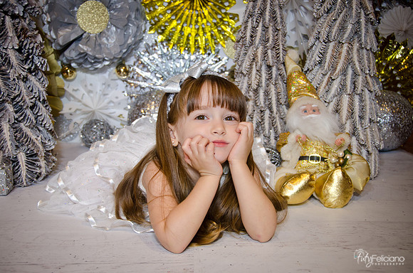 Navidad2014-12618