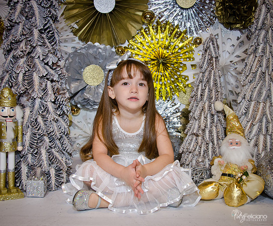 Navidad2014-12556