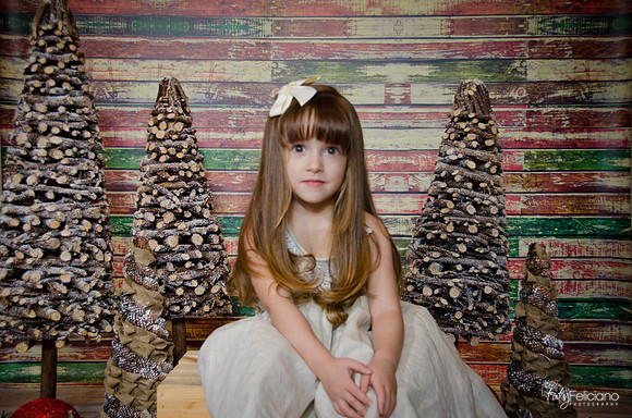 Navidad2014-12463