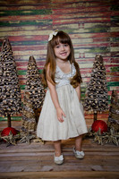 Navidad2014-12417