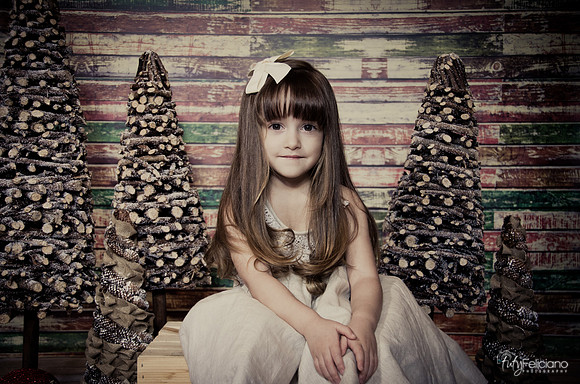 Navidad2014-12457