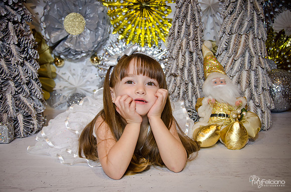 Navidad2014-12617