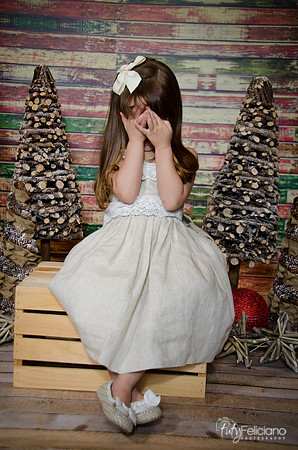 Navidad2014-12442