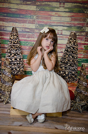 Navidad2014-12520