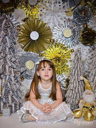 Navidad2014-12559