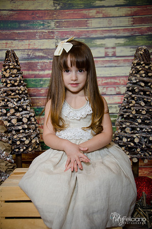 Navidad2014-12436