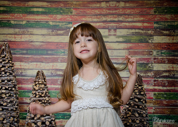 Navidad2014-12476