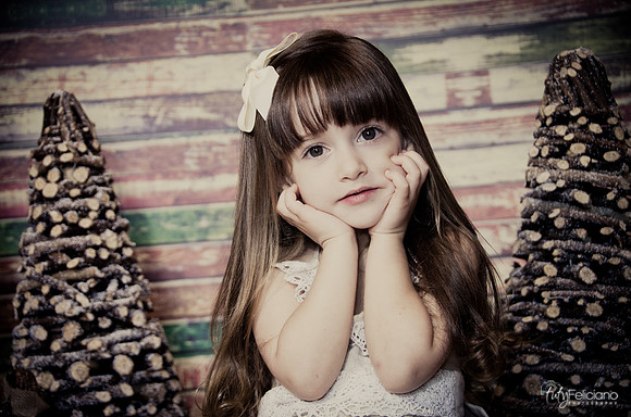 Navidad2014-12507