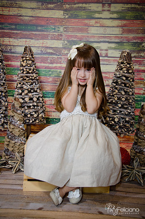 Navidad2014-12517
