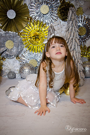 Navidad2014-12649