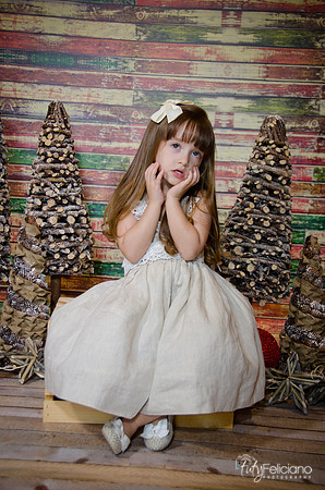 Navidad2014-12521