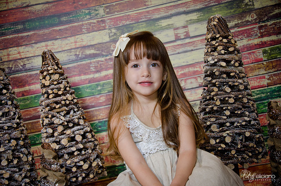 Navidad2014-12542
