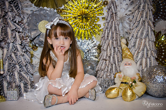 Navidad2014-12593