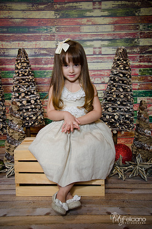 Navidad2014-12435