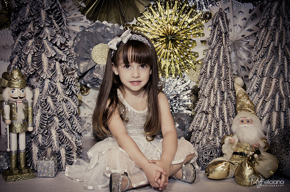 Navidad2014-12567
