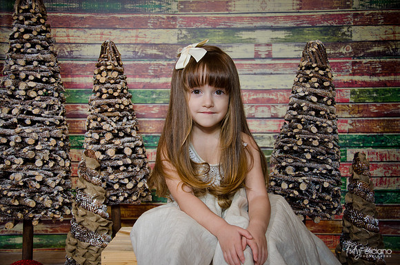 Navidad2014-12456