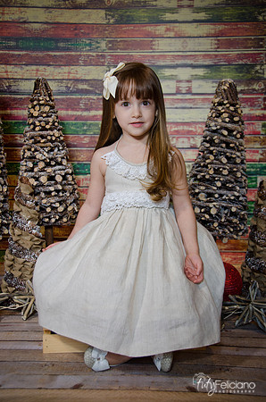Navidad2014-12478