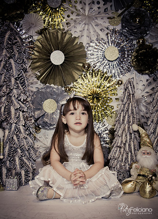 Navidad2014-12560