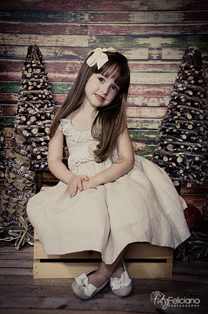 Navidad2014-12488