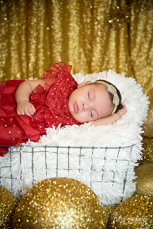 163Navidad-3082