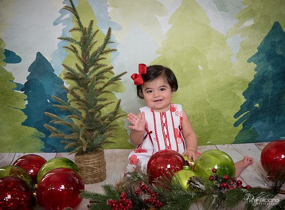 163Navidad-6652