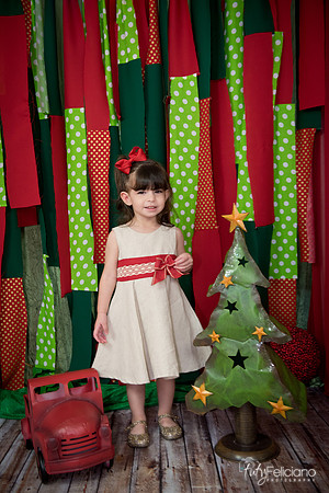 163Navidad-4523