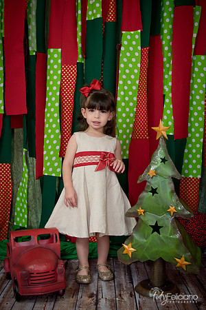 163Navidad-4501
