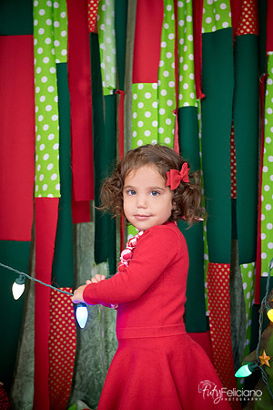 163Navidad-4189