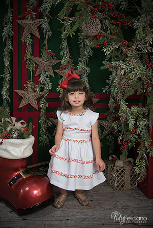 Navidad 2017-29