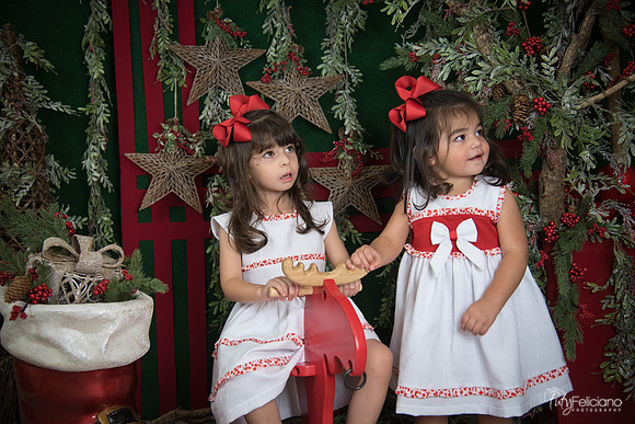 Navidad 2017-273