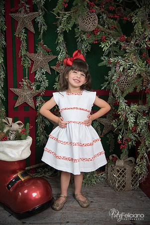 Navidad 2017-20