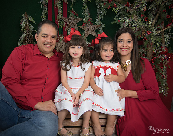 Navidad 2017-100