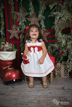 Navidad 2017-191