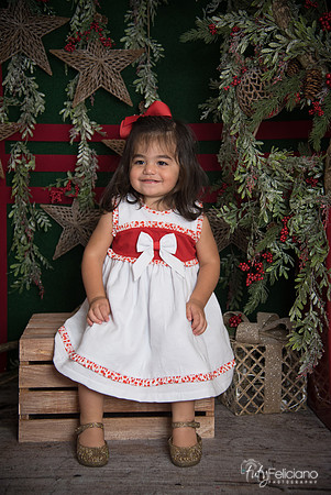 Navidad 2017-145