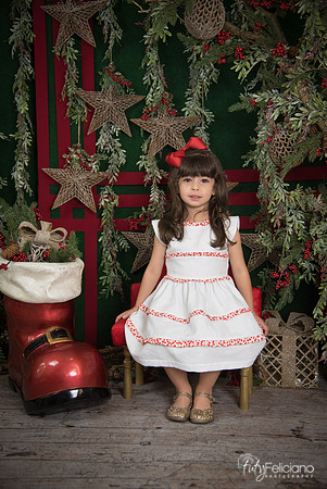 Navidad 2017-246