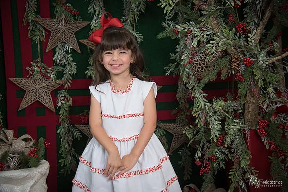 Navidad 2017-12