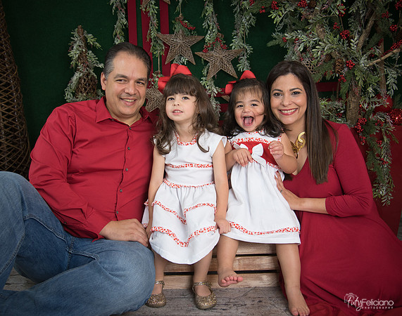 Navidad 2017-113