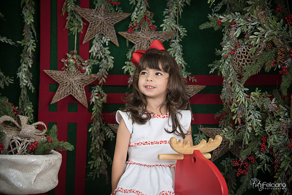 Navidad 2017-263